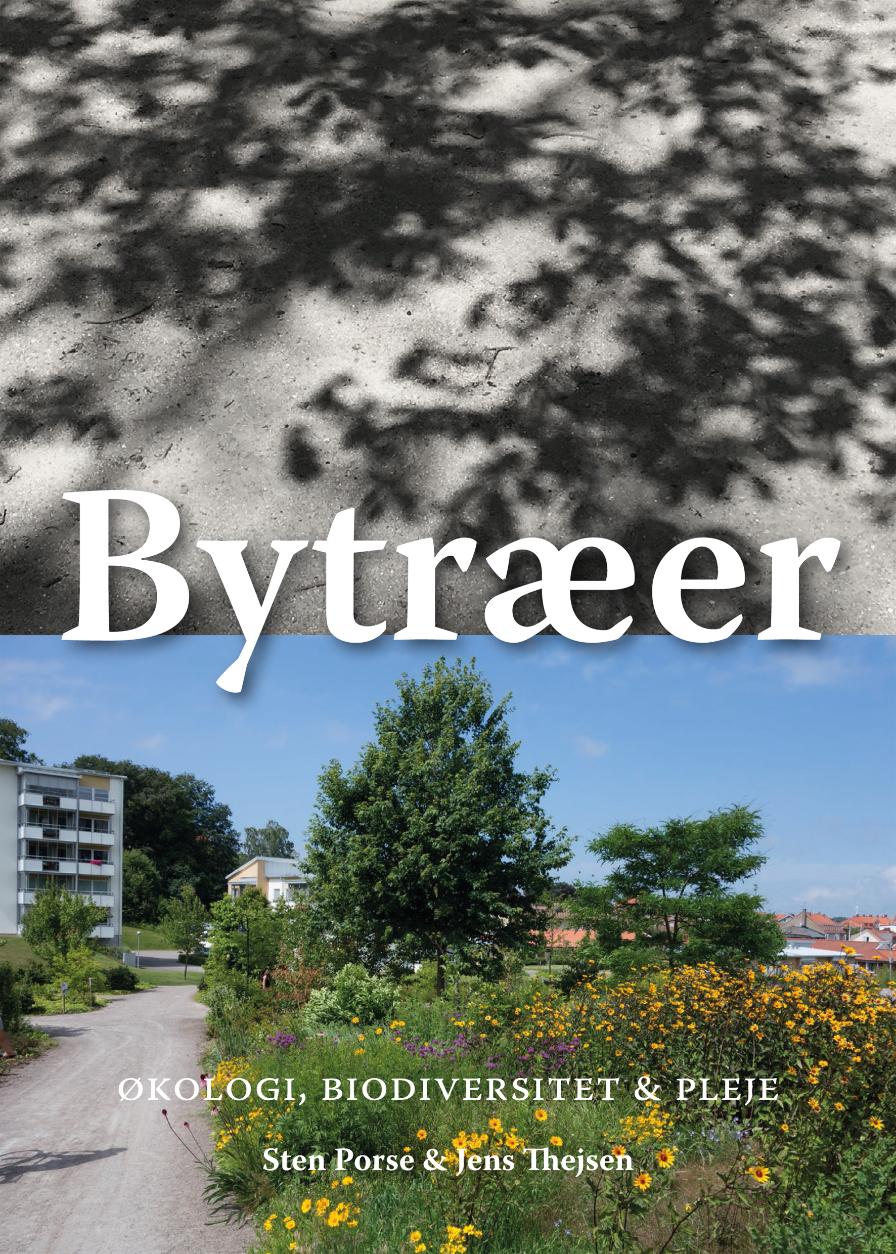 Bytræer – Borgartré